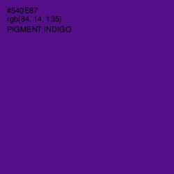 #540E87 - Pigment Indigo Color Image