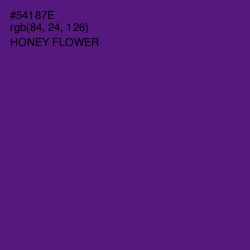 #54187E - Honey Flower Color Image