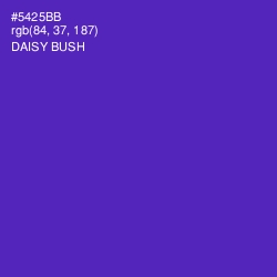 #5425BB - Daisy Bush Color Image