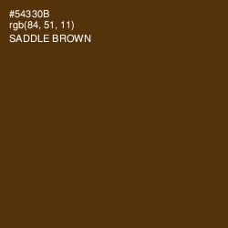 #54330B - Saddle Brown Color Image