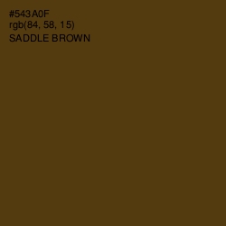 #543A0F - Saddle Brown Color Image