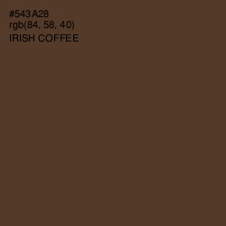 #543A28 - Irish Coffee Color Image