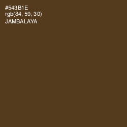 #543B1E - Jambalaya Color Image