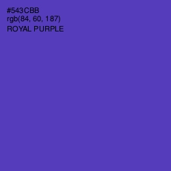 #543CBB - Royal Purple Color Image