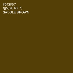 #543F07 - Saddle Brown Color Image