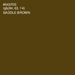 #543F0E - Saddle Brown Color Image