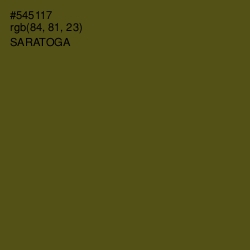 #545117 - Saratoga Color Image