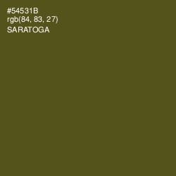 #54531B - Saratoga Color Image