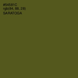 #54581C - Saratoga Color Image