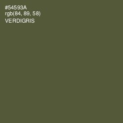 #54593A - Verdigris Color Image