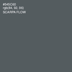 #545C60 - Scarpa Flow Color Image