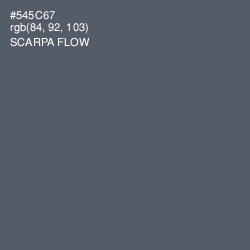 #545C67 - Scarpa Flow Color Image