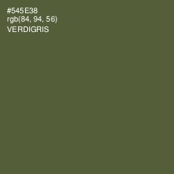 #545E38 - Verdigris Color Image