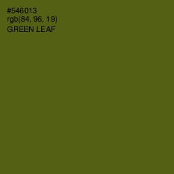 #546013 - Green Leaf Color Image