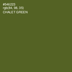 #546223 - Chalet Green Color Image