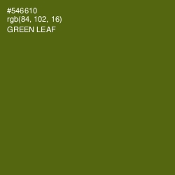 #546610 - Green Leaf Color Image