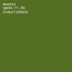 #546F23 - Chalet Green Color Image