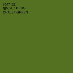 #547122 - Chalet Green Color Image