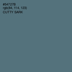 #54727B - Cutty Sark Color Image