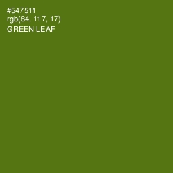 #547511 - Green Leaf Color Image