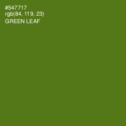 #547717 - Green Leaf Color Image