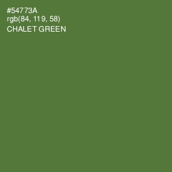 #54773A - Chalet Green Color Image