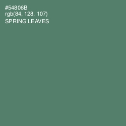 #54806B - Spring Leaves Color Image