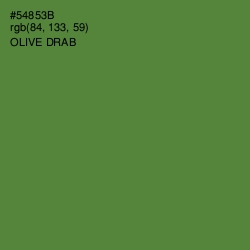 #54853B - Olive Drab Color Image