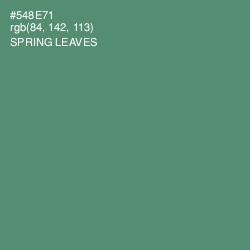 #548E71 - Spring Leaves Color Image