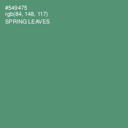 #549475 - Spring Leaves Color Image