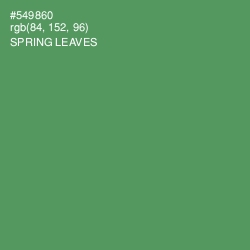 #549860 - Spring Leaves Color Image