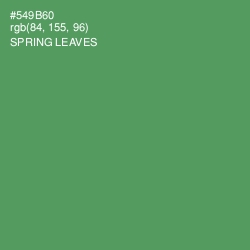 #549B60 - Spring Leaves Color Image