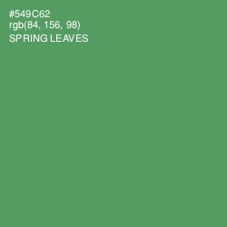 #549C62 - Spring Leaves Color Image