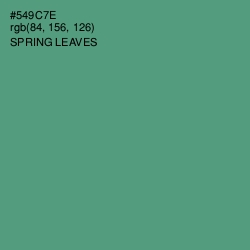 #549C7E - Spring Leaves Color Image