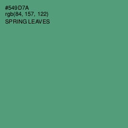 #549D7A - Spring Leaves Color Image