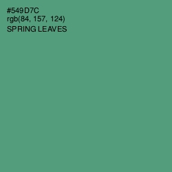 #549D7C - Spring Leaves Color Image