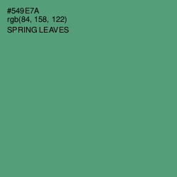 #549E7A - Spring Leaves Color Image