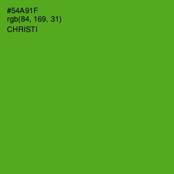 #54A91F - Christi Color Image