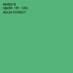#54B578 - Aqua Forest Color Image