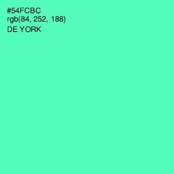 #54FCBC - De York Color Image