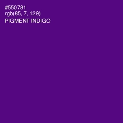 #550781 - Pigment Indigo Color Image