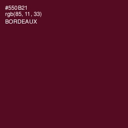 #550B21 - Bordeaux Color Image