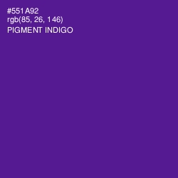 #551A92 - Pigment Indigo Color Image