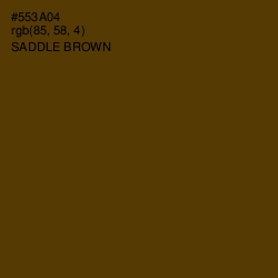 #553A04 - Saddle Brown Color Image