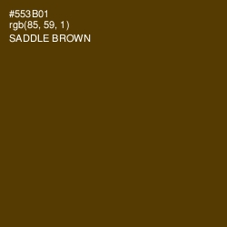#553B01 - Saddle Brown Color Image