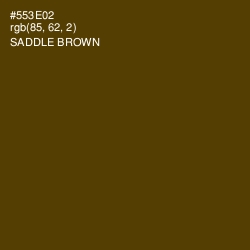 #553E02 - Saddle Brown Color Image