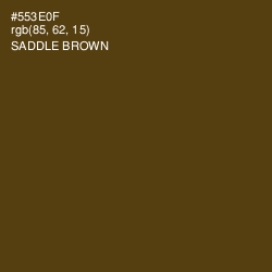 #553E0F - Saddle Brown Color Image