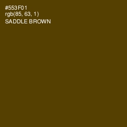 #553F01 - Saddle Brown Color Image