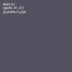 #555161 - Scarpa Flow Color Image