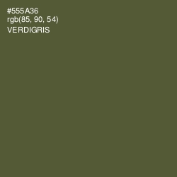 #555A36 - Verdigris Color Image